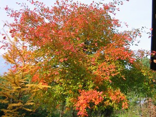 Appartamento Tscherms Ambiente 16