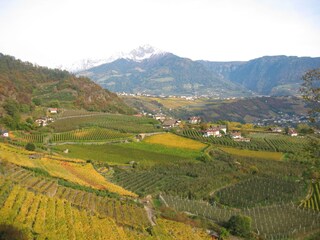 Appartamento Tscherms Ambiente 15