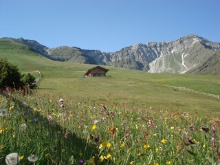 Appartamento Tscherms Ambiente 19