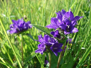 Appartamento Tscherms Ambiente 20