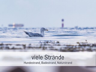 Appartamento per vacanze Steinberg (Angeln) Ambiente 31