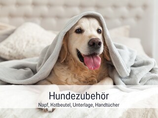 Hundezubehör