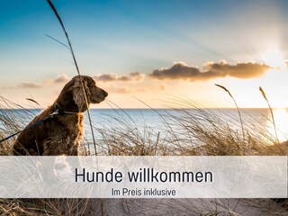 Hund kostenlos