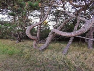 Holiday house Kramnitse Outdoor Recording 21