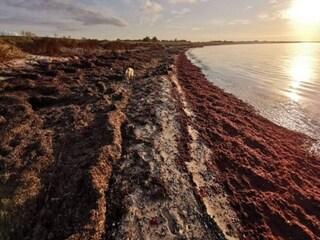 Holiday house Kramnitse Outdoor Recording 22