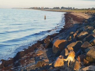 Maison de vacances Kramnitse Enregistrement extérieur 6