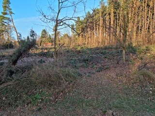 Vakantiehuis Marielyst Buitenaudio-opname 20