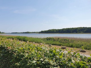 Ferienhaus Sakskøbing  40