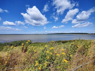 Ferienhaus Sakskøbing  42