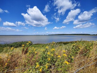 Maison de vacances Sakskøbing  38