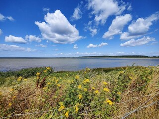 Holiday house Sakskøbing  46