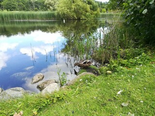 Casa de vacaciones Vaeggerløse  32