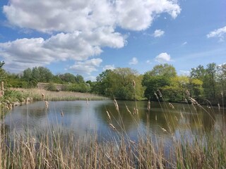 Holiday house Vaeggerløse  34