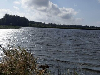 Maison de vacances Marielyst  38