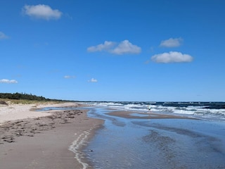 Ferienhaus Marielyst  7