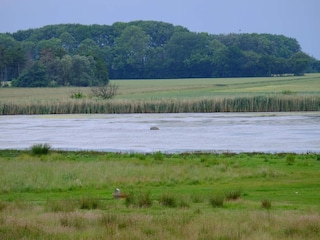 Maison de vacances Marielyst  45