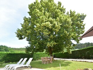 Holiday house Plazac  37