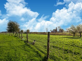 Ferienhaus Waterlandkerkje Außenaufnahme 2