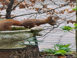 Casa per le vacanze Erm  40