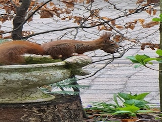 Maison de vacances Erm  35