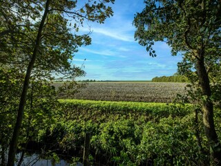 Vakantiehuis Harlingen Omgeving 37