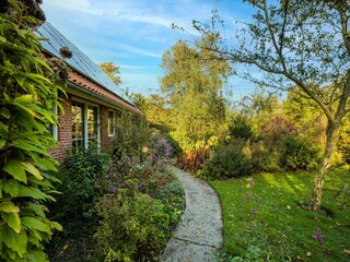 Ferienhaus Harlingen Außenaufnahme 15
