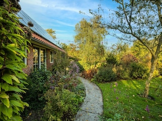 Ferienhaus Harlingen Außenaufnahme 4