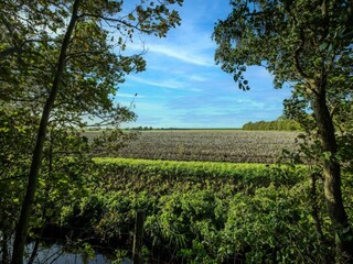 Casa per le vacanze Harlingen Ambiente 38