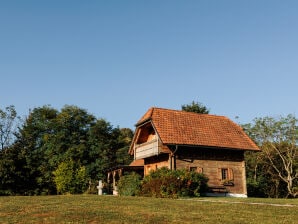 Casa de vacaciones Steirahaus - Jennersdorf - image1