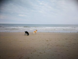 Maison de vacances Hirtshals  8