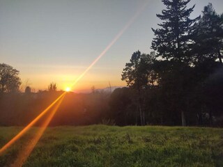 Vakantiehuis Montopoli in Val d'Arno Omgeving 35