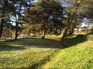 Maison de vacances Montopoli in Val d'Arno Environnement 38