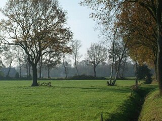Maison de vacances Noordwolde Environnement 23