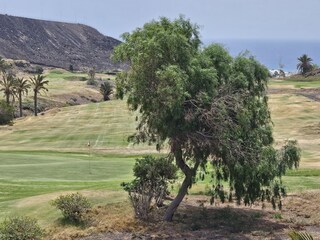 Bungalow Morro Jable Omgeving 33