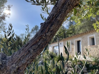 Casa per le vacanze Cabasse Registrazione all'aperto 2