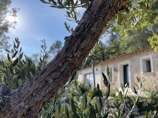 Vakantiehuis Cabasse Buitenaudio-opname 4