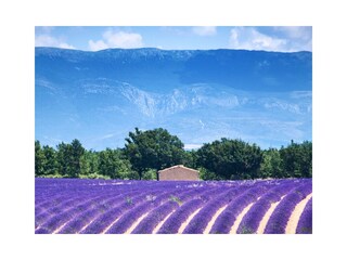 Casa per le vacanze Cabasse Ambiente 35
