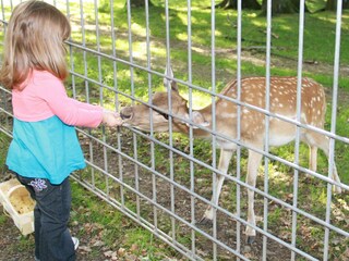 Wildgehege (Futterration von mir)