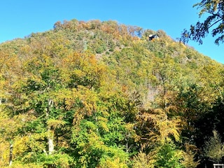 mit der Gondel zum Burgberg