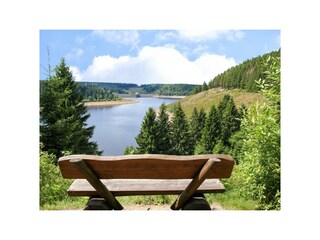 Am Oderteich  - ein beliebter Badesee