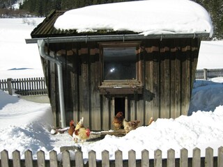 Appartement Pettneu am Arlberg Buitenaudio-opname 4