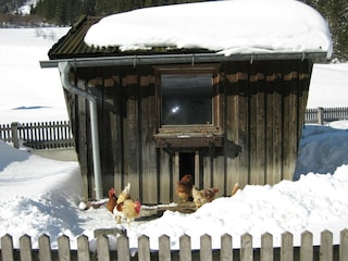 Appartement Pettneu am Arlberg Enregistrement extérieur 13