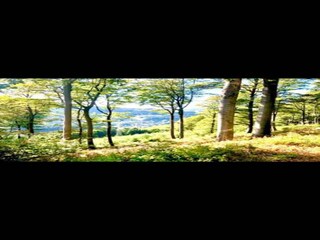 Casa per le vacanze Bestwig Ambiente 30