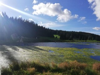 Vakantiehuis Bestwig Omgeving 37