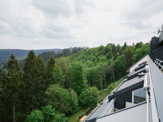 Apartment Winterberg Außenaufnahme 11