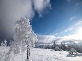 Appartamento Winterberg Ambiente 26