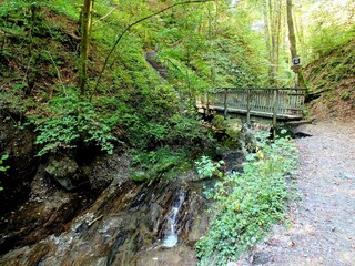 Apartment Winterberg Umgebung 37