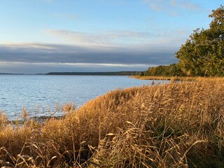 Der Bodden bei Glowe