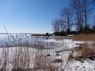 Winter am Bodden