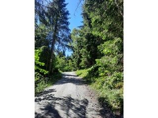 Holiday apartment Rauris Environment 21